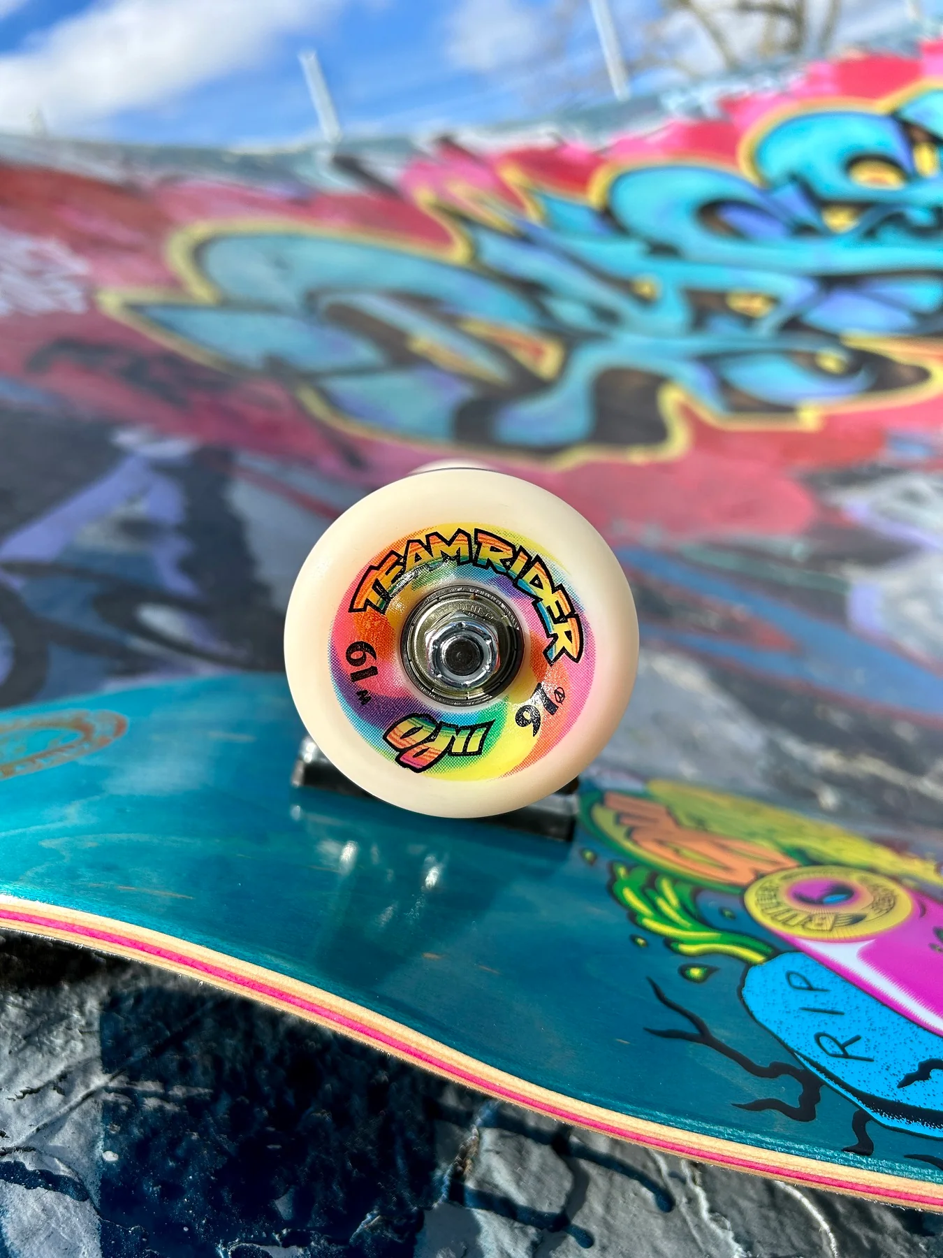 9.35in Speed Wheels Santa Cruz Shaped Complete