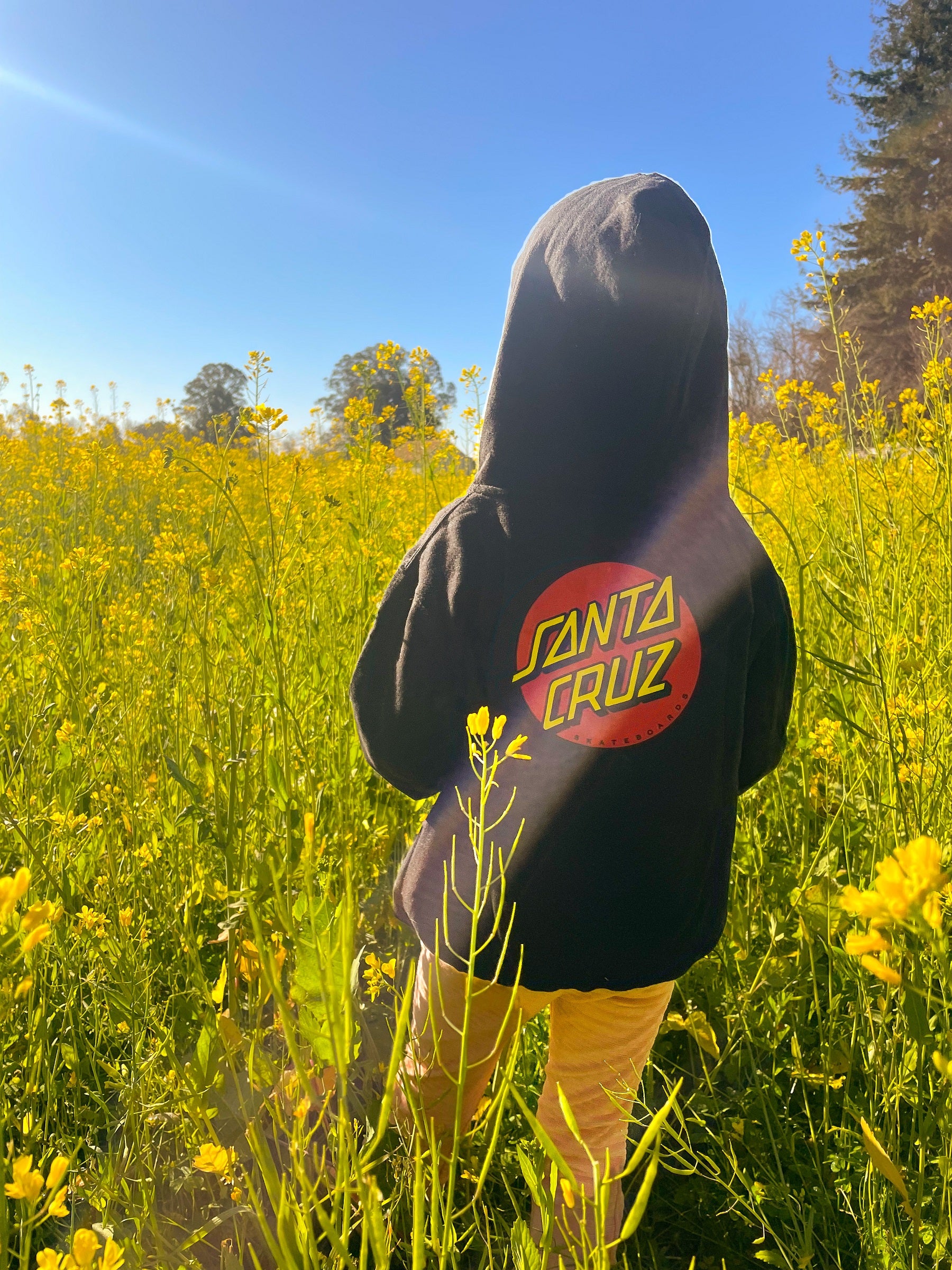 4146-classic-dot-santa-cruz-youth-hoodie-5.jpg Classic Dot Santa Cruz Youth Hoodie